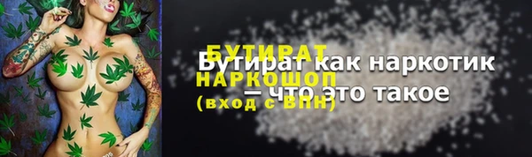 прущие грибы Долгопрудный