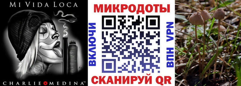 наркотики  Беломорск  MEGA вход  Псилоцибиновые грибы ЛСД 